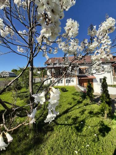 Hostal Vila ?ara Ha?egului