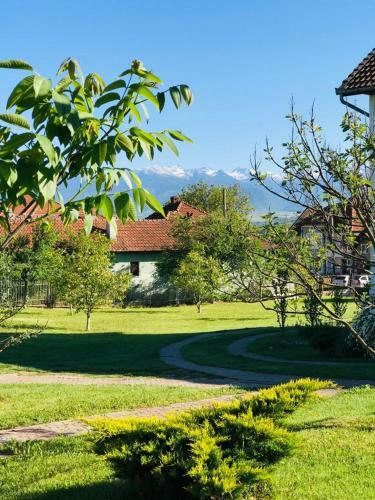 Hostal Vila ?ara Ha?egului