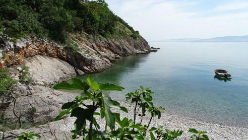 Apartamentos Dalibor