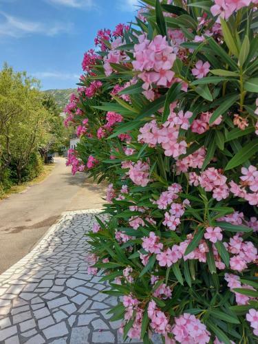Apartamentos Dalibor