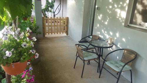 Apartments Dalmatica (free Private Parking)