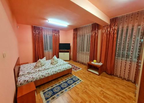 Hostal Pensiunea Sanziana