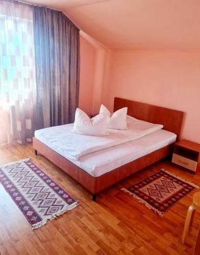 Hostal Pensiunea Sanziana
