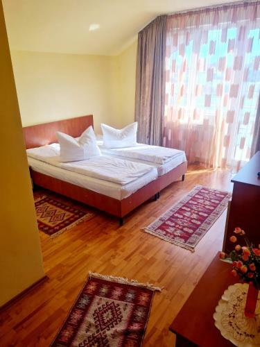 Hostal Pensiunea Sanziana