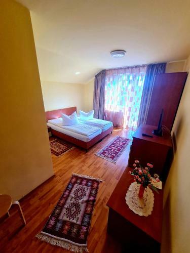 Hostal Pensiunea Sanziana