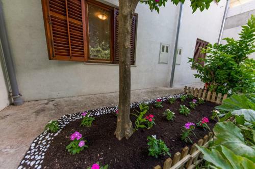 Apartman Jelena 2