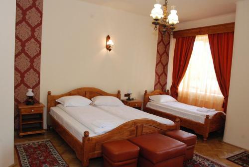 Hostal Vila Nicoleta