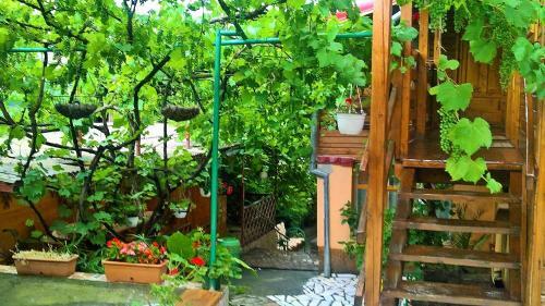 Rustic Rooms