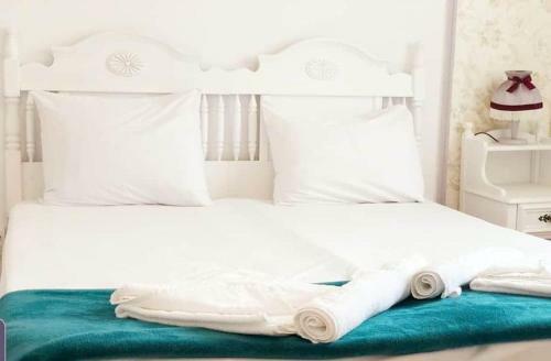 Hostal Boemul Neptun