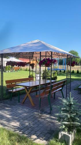 Letniaczki Abi