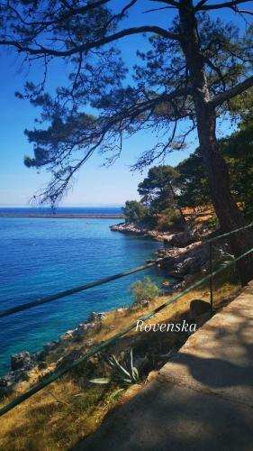 Apartamentos Veli Lo?inj Rovenska 52