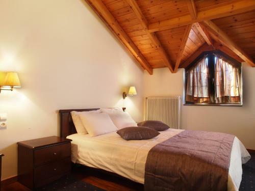 Hotel Archontiko Tzoumerkon