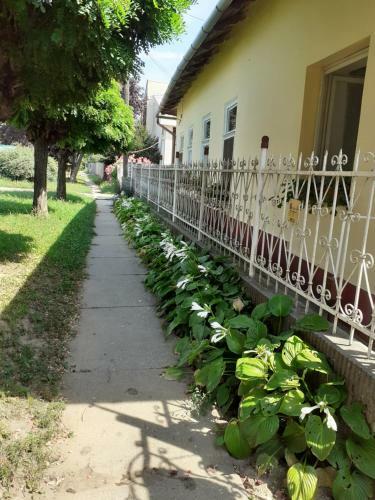 Marika Vend�gh�z