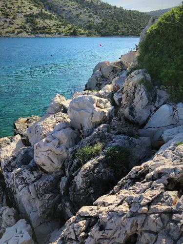 Apartamento Villa Danmarie