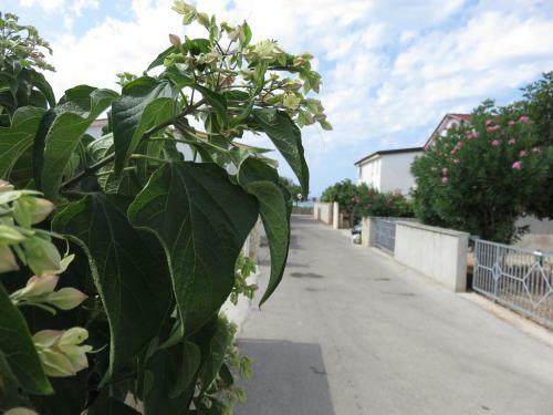 Apartmani Frane