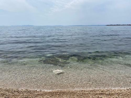 Apartmani Frane