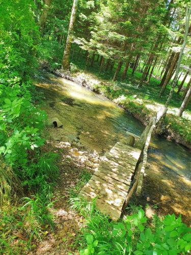 Hostal Sleepy Brook Home