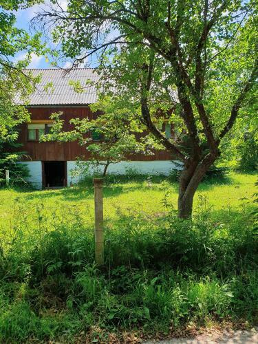 Hostal Sleepy Brook Home