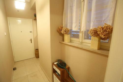 Viola Apartment
