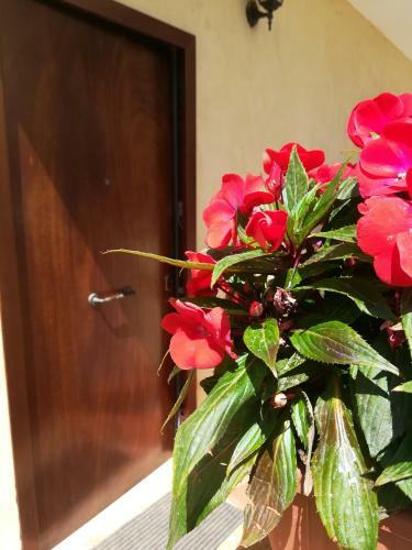 Apartamento Cala Dei Tufi