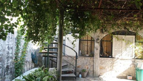 Apartments Ines 1