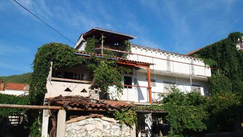 Apartments Ines 1