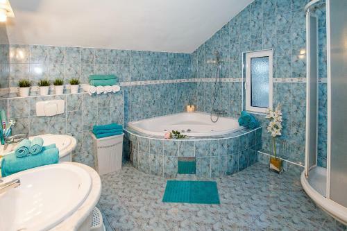 Novi Paradise Villa
