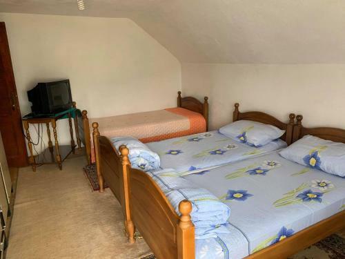 Hostal Bato's House