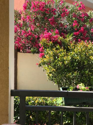 Apartamento Villa Laguna