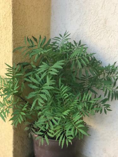 Apartamento Villa Laguna
