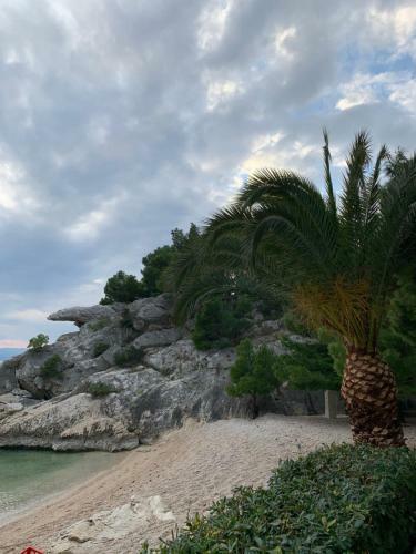 Hostal Apartments Rako