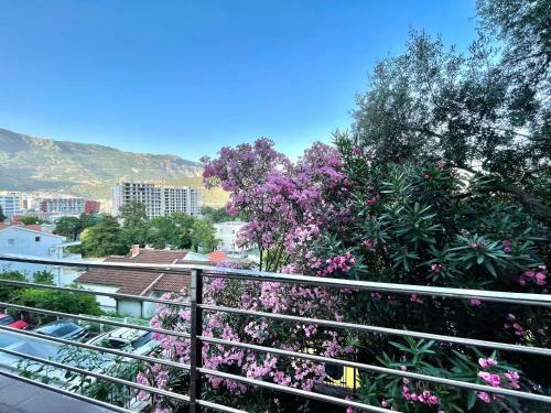Sea View Apartments Milo
