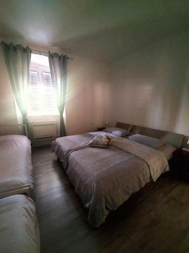 Apartma_samy
