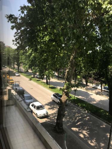 Park �ekirge Apart