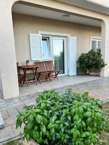 Seaview Apartments