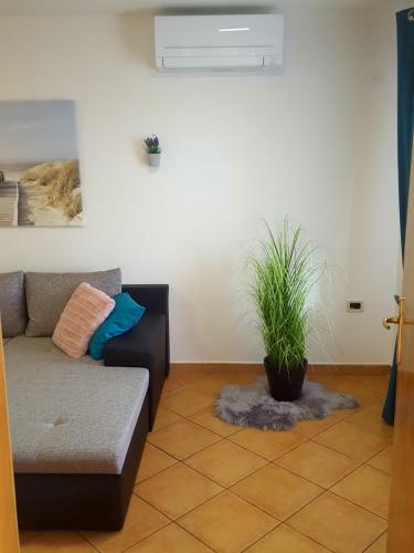 Apartma La Rosa