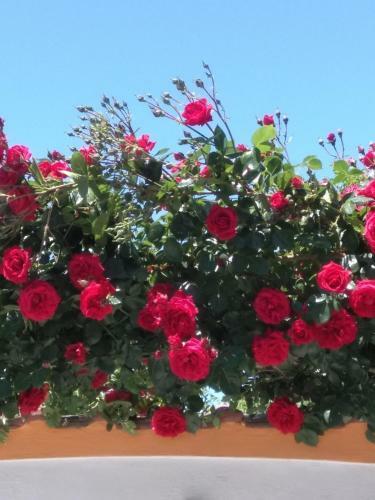 Hostal Vila Rosen