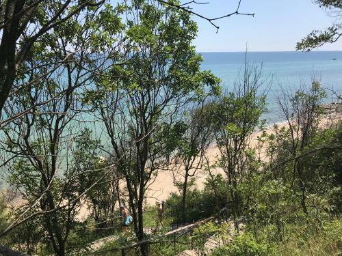 Pearl Beach Apartments In The Cliff Resort 2