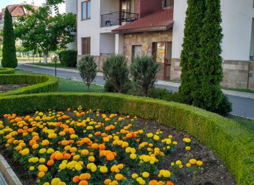 Apartamento Apollo
