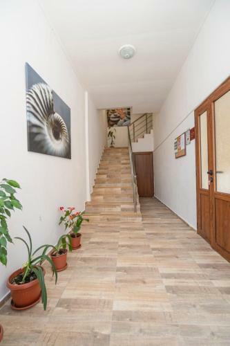 Hostal Guest House Elidis