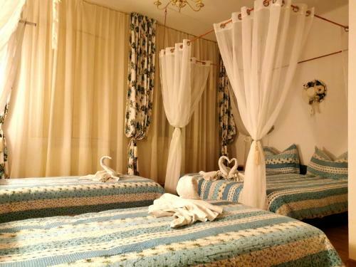 Hostal Pensiunea Schwartzy