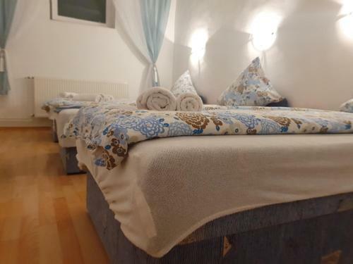 Hostal Pensiunea Schwartzy