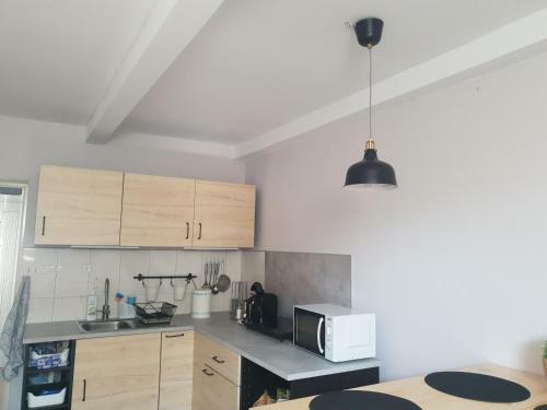 Hostal Pensiunea Schwartzy
