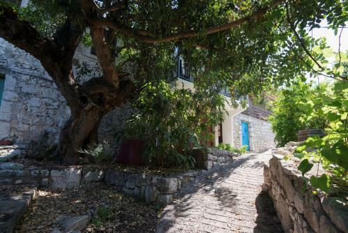 Hostal Guesthouse Pavla