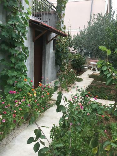 Apartmani Anka