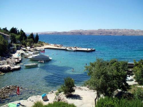 Apartmani Cesarica