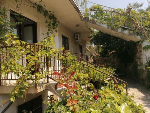 Apartmani Branko Kuzmicic