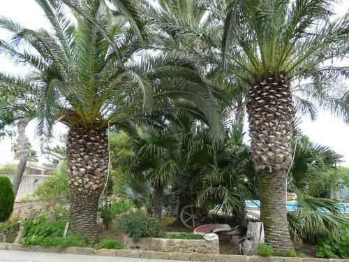 Hostal Villa Yucca