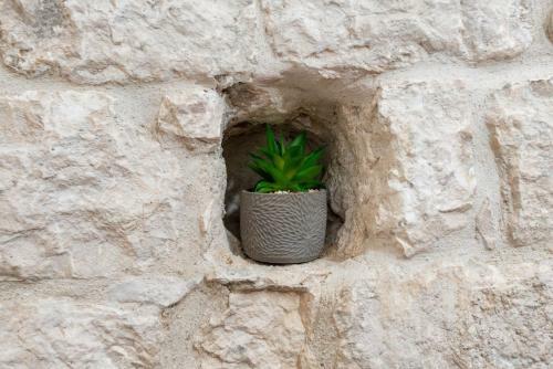 Apartamento Vintage House Al Pozzo