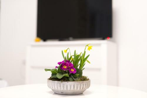 Apartamento La Casa Di Pietra